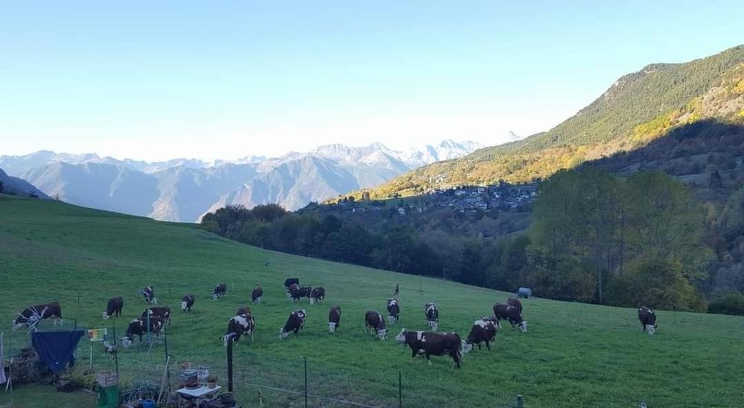 Casa Indipendente Val D'Ayas - Challand Saint Anselme Eksteriør bilde